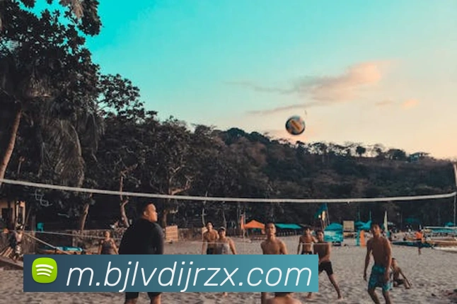 澳门百家乐网站服务体系